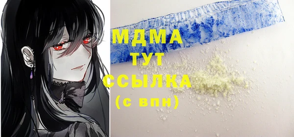 индика Алексин