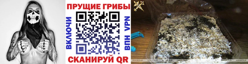 Псилоцибиновые грибы прущие грибы  купить наркотики цена  Якутск 