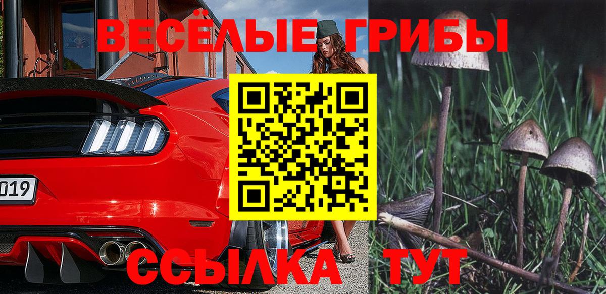 Якутск  Галлюциногенные грибы Psilocybe  Вход с VPN  Псилоцибиновые грибы MAGIC MUSHROOMS 